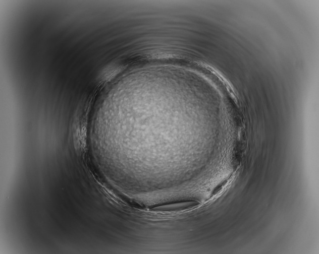 X0000087680777200705111300