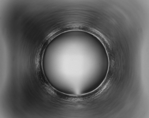 X0000087680778200705111300