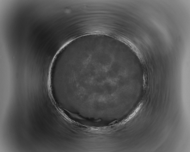 X0000087680780200705111259