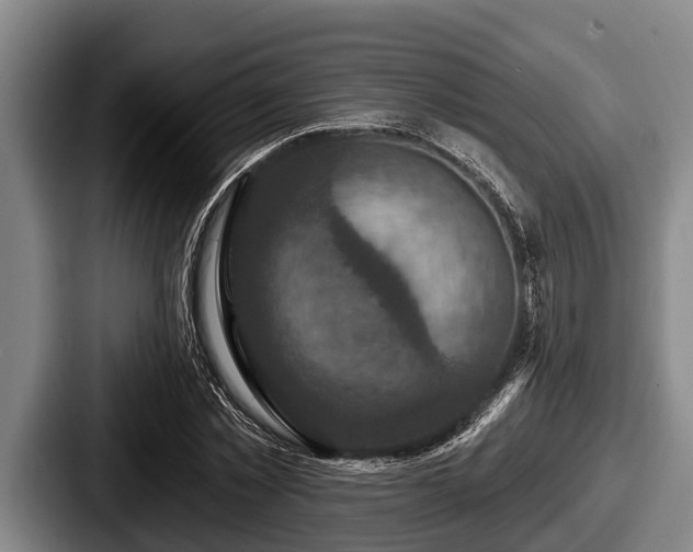 X0000087680781200705111259