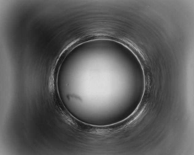 X0000087680782200705111259
