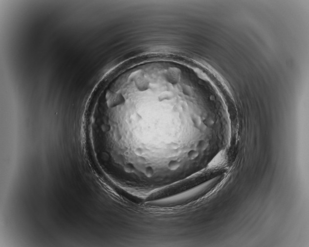 X0000087680783200705111259
