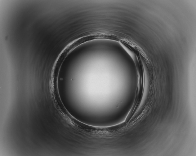X0000087680784200705111259