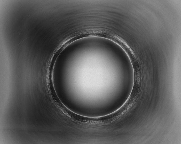 X0000087680786200705111259