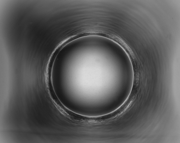 X0000087680787200705111259