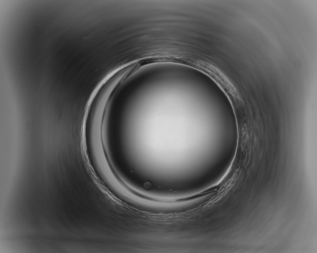 X0000087680788200705111259