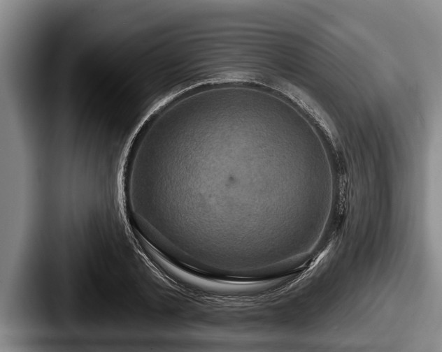 X0000087680789200705111259