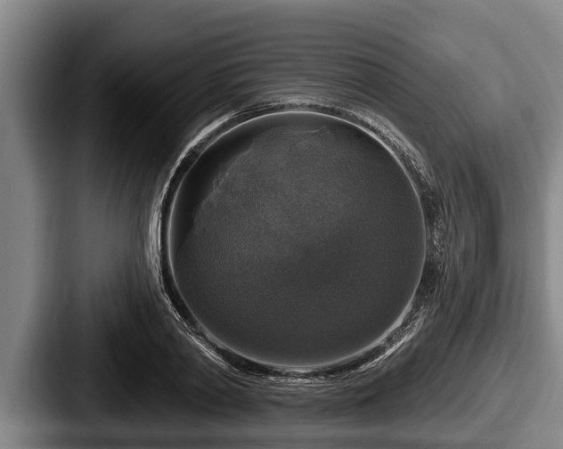 X0000087680790200705111259