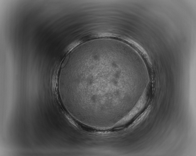 X0000087680793200705111259