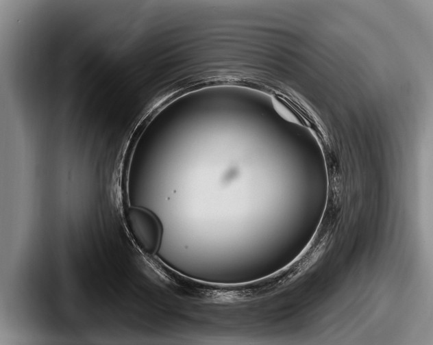 X0000087680794200705111259
