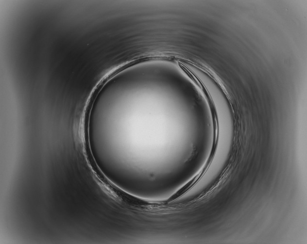X0000087680795200705111259