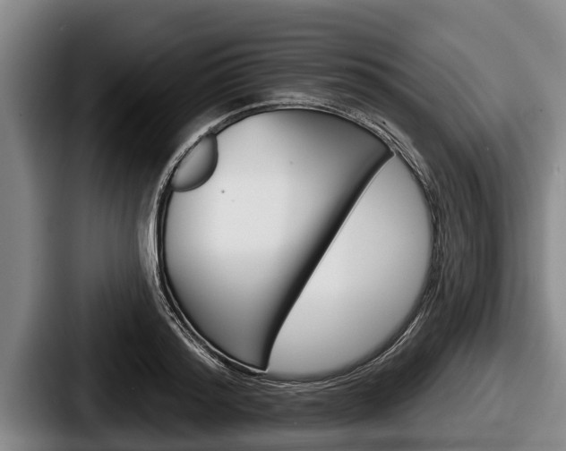 X0000087680796200705111259
