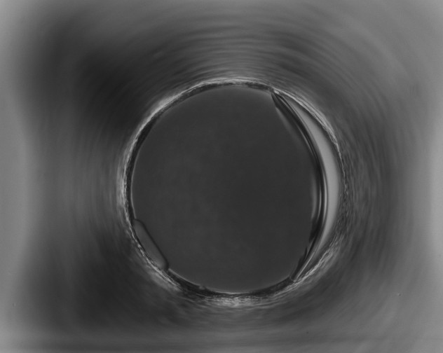 X0000087680797200705111259