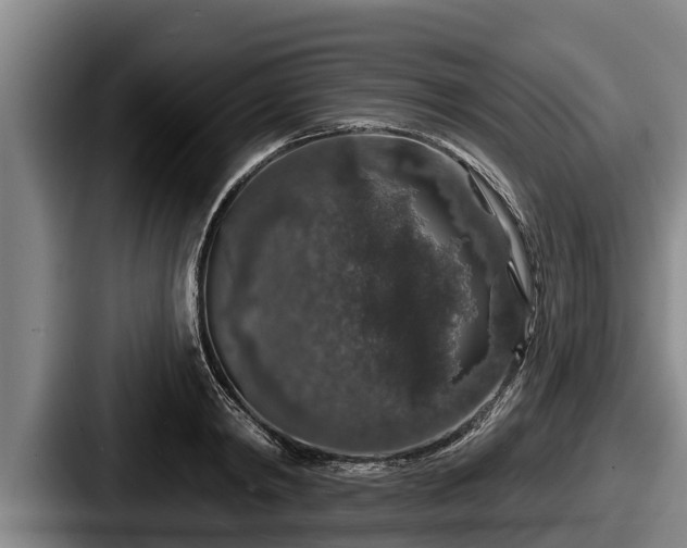 X0000087680798200705111259