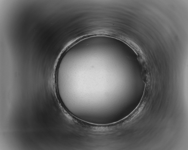 X0000087680800200705111259