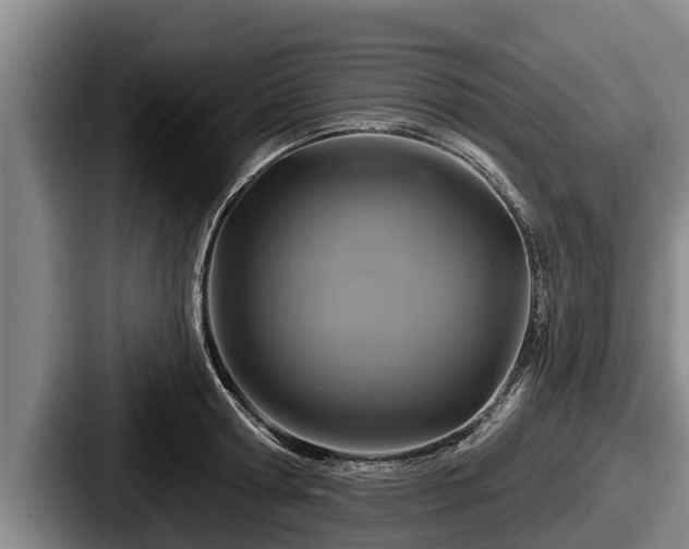 X0000087680802200705111259