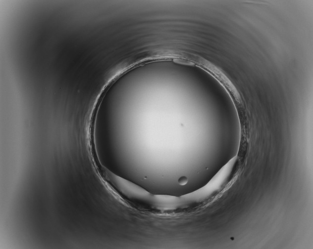 X0000087680805200705111259