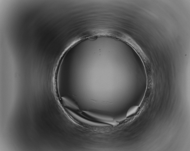 X0000087680806200705111259