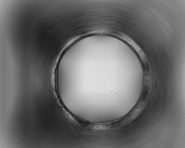 X0000087680807200705111259