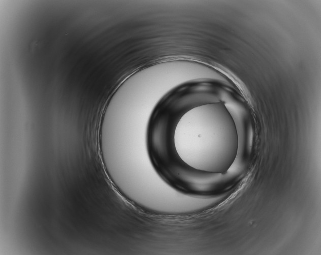 X0000087680809200705111259