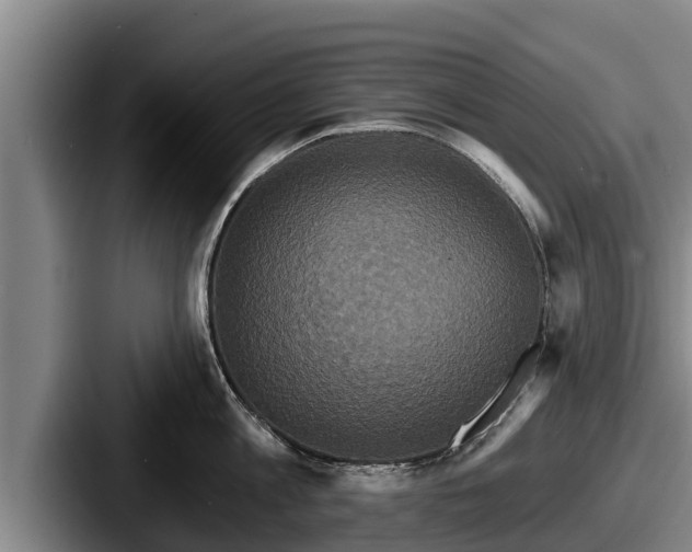 X0000087680813200705111259
