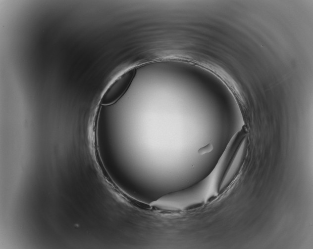 X0000087680814200705111259