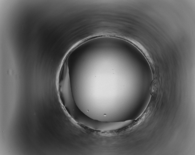 X0000087680815200705111259