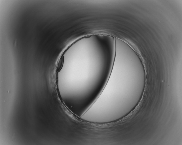X0000087680816200705111259