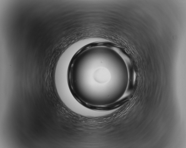 X0000087680818200705111258