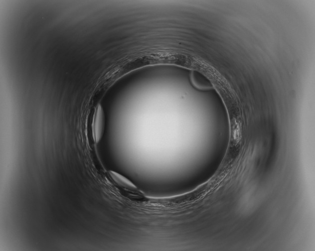 X0000087680819200705111258
