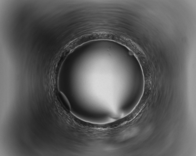 X0000087680821200705111258