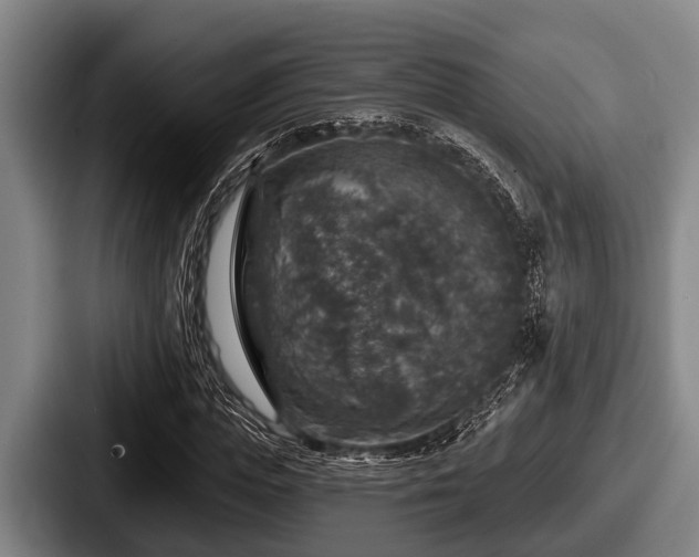 X0000087680823200705111258