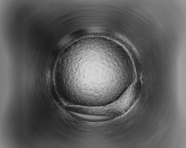 X0000087680825200705111259