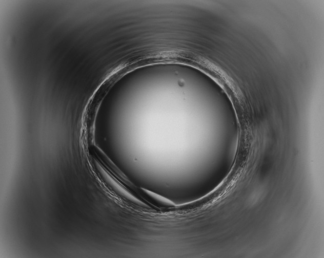 X0000087680827200705111259