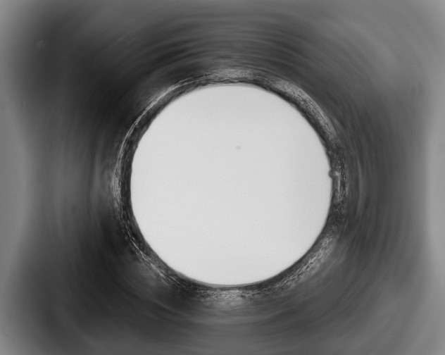 X0000087680828200705111259