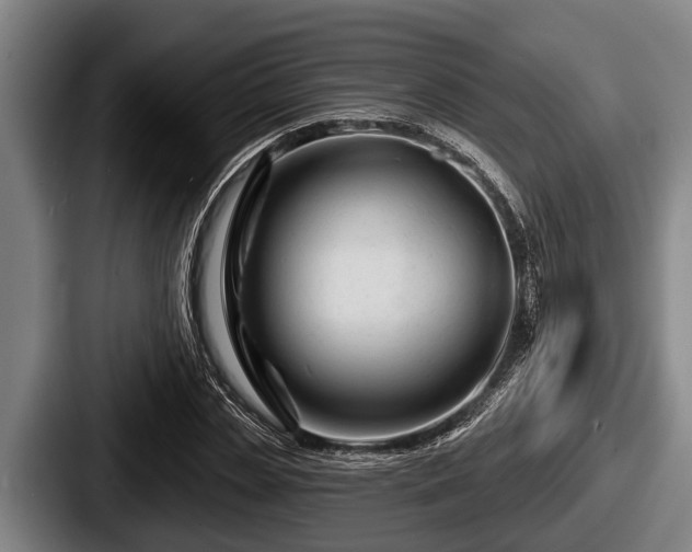 X0000087680829200705111259