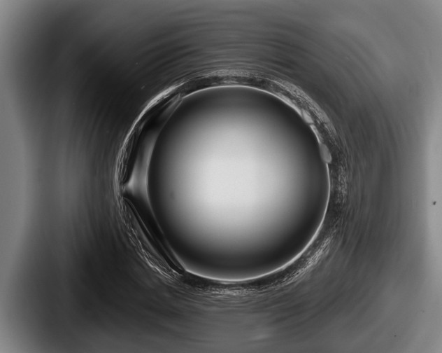X0000087680830200705111259