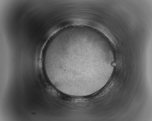 X0000087680832200705111259