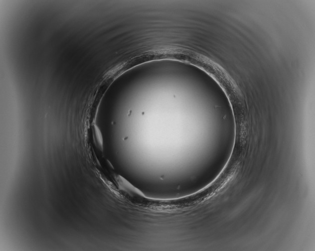 X0000087680833200705111259