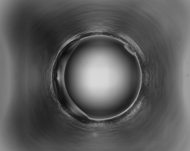X0000087680834200705111259