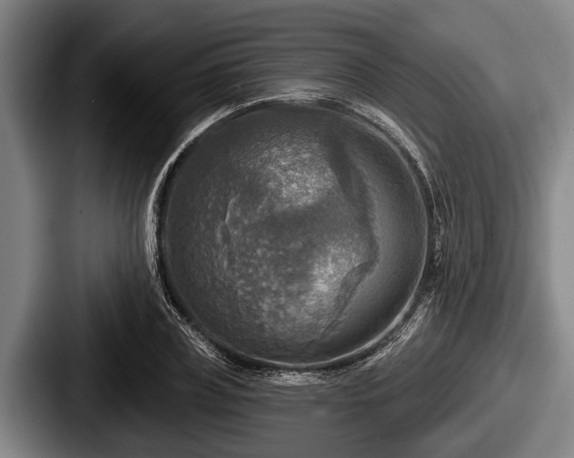 X0000087680835200705111259