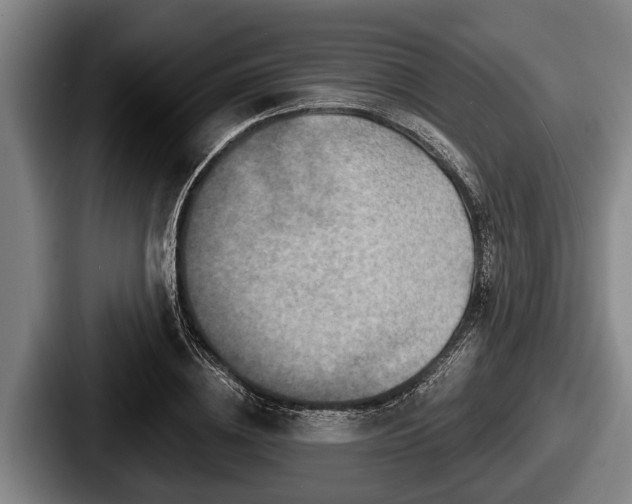 X0000087680836200705111259