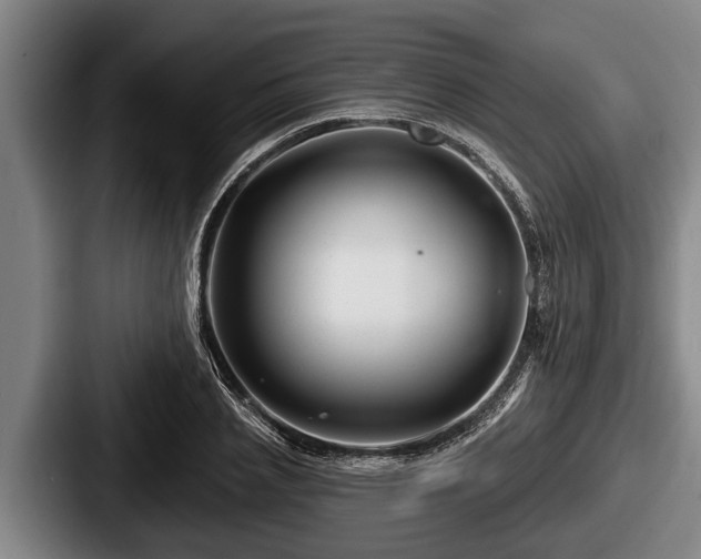 X0000087680837200705111259