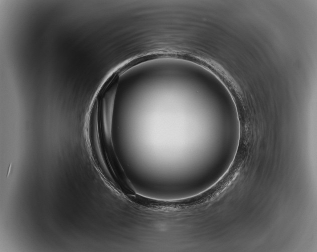 X0000087680838200705111259