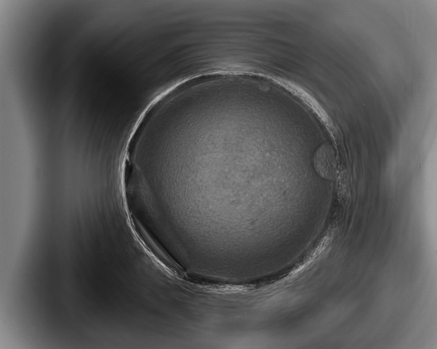 X0000087680839200705111259