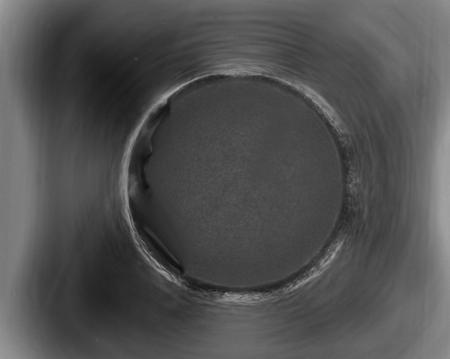 X0000087680840200705111259
