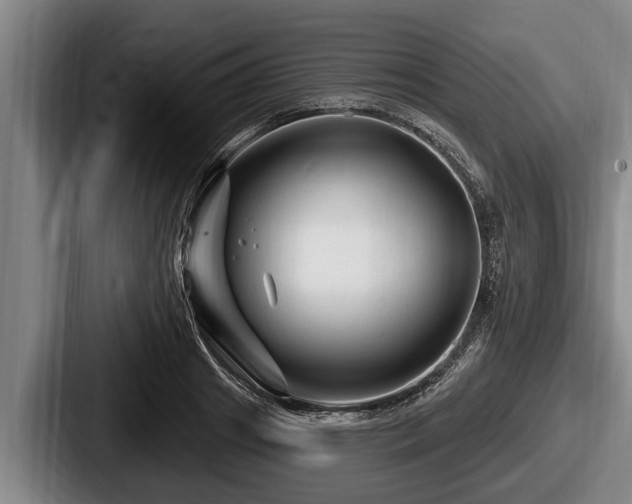 X0000087680841200705111259