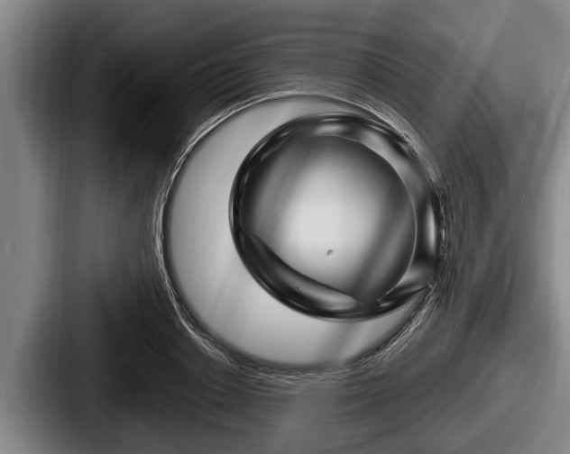 X0000087680842200705111259