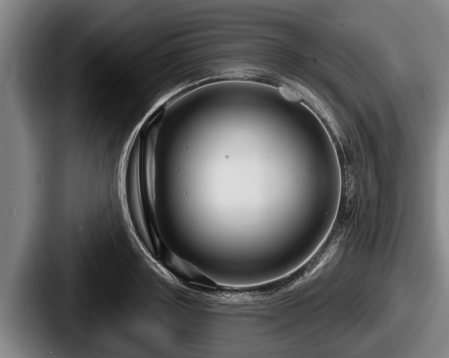X0000087680843200705111259