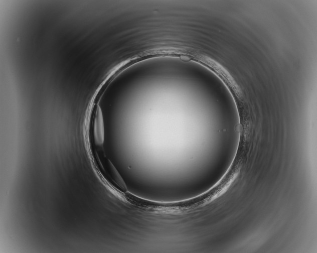 X0000087680844200705111259